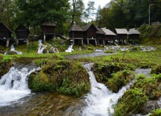 The Author Who Exposed the Sultan