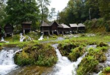 The Sultan’s Paranoia