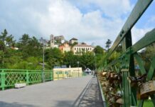 Abundance of Wild Animals and Birds