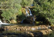 Scholarly Opinions on the Identity of the Harbours